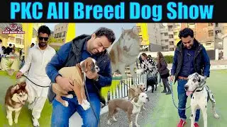 Dog Show . PKC all Breed Dog show 2022 Pakistan Karachi (Asad Brohi vlog)