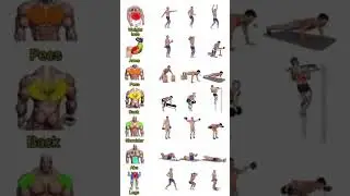 Full Body Transformation 