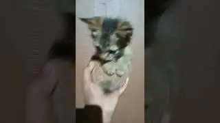 എന്താ മോനേ ഇവൻറെ ഇരിപ്പ് 😏