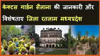 केक्टस गार्डन सैलाना जानकारी जिला रतलाम मध्यप्रदेश Cactus Garden Sailana Ratlam | mera shining india