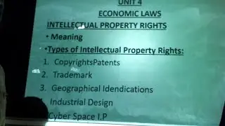 BUSINESS REGULATIONS - INTELLECTUAL PROPERTY RIGHTS
