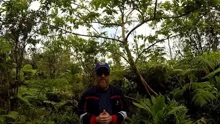 Rules Of Operation Survival Season 1
