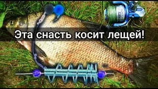 Как ловить лещей поздней осенью?! С этой снастью очень легко! Рыбалка осенью на леща.