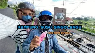 Ada kampung susu di SARANGAN ❗❗| Motovlog