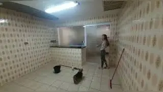 Muita limpeza antes da mudança