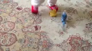 Əziz balam.