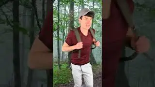 The Bear Necessities