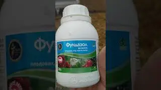 субстрат вешенки