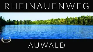 RHEIN-AUENWEG | DEUTSCHLAND ZWISCHEN ODENWALD UND PFÄLZER WALD | WANDERN DOKU OBERRHEINGRABEN