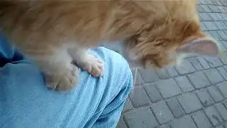 Порча имущества на сумму 40 грывень