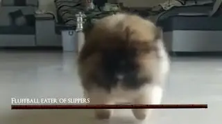Bork souls compilation v2