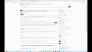 #17  Net CoreApi Scoffold Resolved