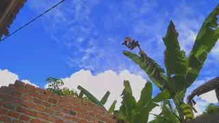 Timelapse langit