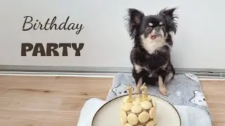 My 13th birthday party 🎉