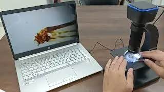 Digital microscope with two lenses on Aliexpress!