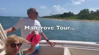 Roatan Island Boat Tour - Mangrove Tour, Fishing, Diving, Snorkeling at Pigeon Cay!