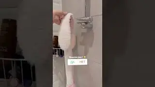 Эсми постирала "уши" Некоглая