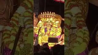 గోవిందరాజస్వామి బ్రహ్మోత్సవాలలో భాగంగా మొదటి రోజు పెద్ద శేష వాహనం #govindarajaswamytemple #tirupati