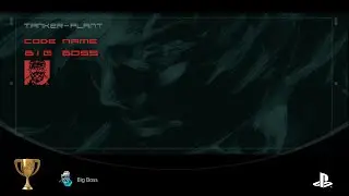 Metal Gear Solid 2: Sons of Liberty - Big Boss Rank