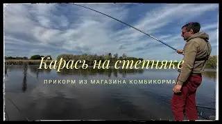 ЗАКОРМИЛИ ЗЕРНОМ И РЫБА ПОПЁРЛА!!. Карась и мелкий карп на степной речке.