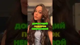 КАКОЙ САМЫЙ ДОРОГОЙ ПОДАРОК ЖЕНЯ ЛИЗОГУБ ДАРИЛ МИЛАНЕ НЕКРАСОВОЙ 🐍