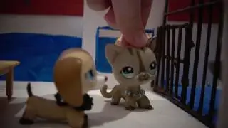 LPS Сериал Заключенный 2 серия