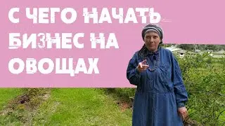 Бизнес на овощах, как грамотно выбрать участок