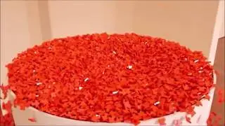 Rahatlatıcı Video #1