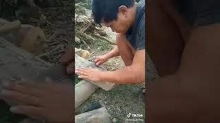 nakil