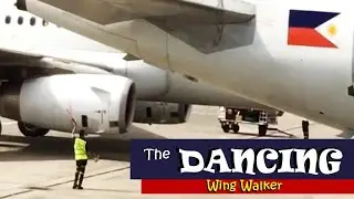 SPOTTED: Dancing Wing Walker at NAIA Terminal 2