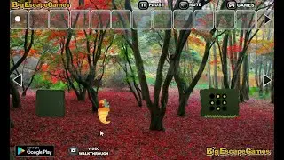 BEG Thanksgiving Red Autumn Forest Escape Walkthrough [BigEscapeGames]