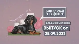 Ваш случай в эфире. Выпуск от 25.09.2023
