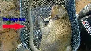 Big baby Timo always cry for milk | Timo angry with mother run fast hide body in motor basket & cry