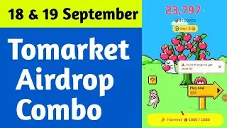 Tomarket combo 18 september | To market mastery combo 18 September  Tomarket combo today kaise khele