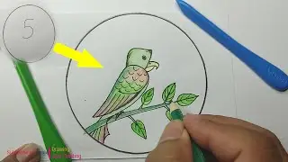 Drawing a Parrot With Number 5