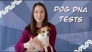 I Sent My Dog's DNA To 3 Different Companies...
