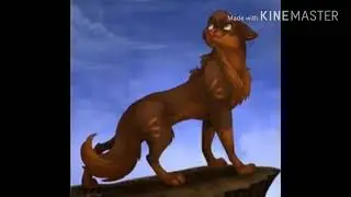 Коты воители :Клип боль стекла по венам в низ.
