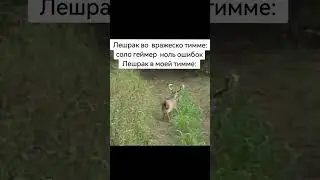 рога бы оторвать бэмби этому #shorts #dota2 #дота2 #dotawtf #мем #shadowraze #pudge #memes #gaming