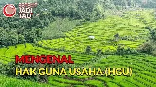 Mengenal Hak Guna Usaha | SEMENIT JADI TAU #39