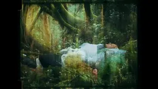 Terra Nobody - Smooth Velocity (Official Music Video)