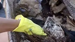 caixão após 6 anos