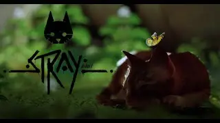 Stray - Сага о сквозьтекстурном коте