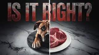 Is Eating Dog Meat WRONG? Cultural Practice or Animal Cruelty?
