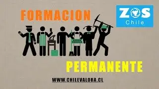 ¿Por qué son importantes las competencias laborales? ZOS FUTURO www.zoschile.com