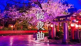 桜夜曲【癒しBGM】心にしみる、ノスタルジックな和風曲メドレー