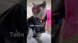 Ахах,РЖАЧНОЕ видео!😂