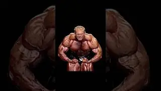 Dennis wolf 🐺