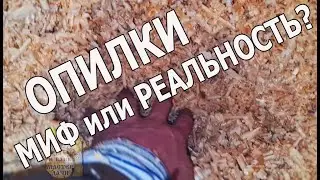Эконом и Качество для Потолка в БАНЕ. Чем Утеплить ПОЛОК в БАНЕ? Разбираемся на МЕСТЕ) ОПИЛКИ не МИФ