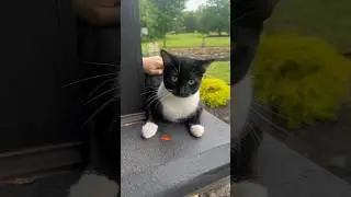 У нас доброе - дождливое утро а у вас 🌧️☀️🤔