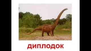 Презентация для детей по Доману. Динозавры